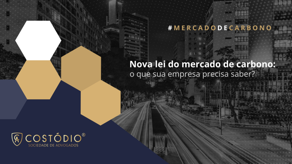 Lei 15.042/24: Nova Regulação do Mercado de Carbono e Seus Impactos