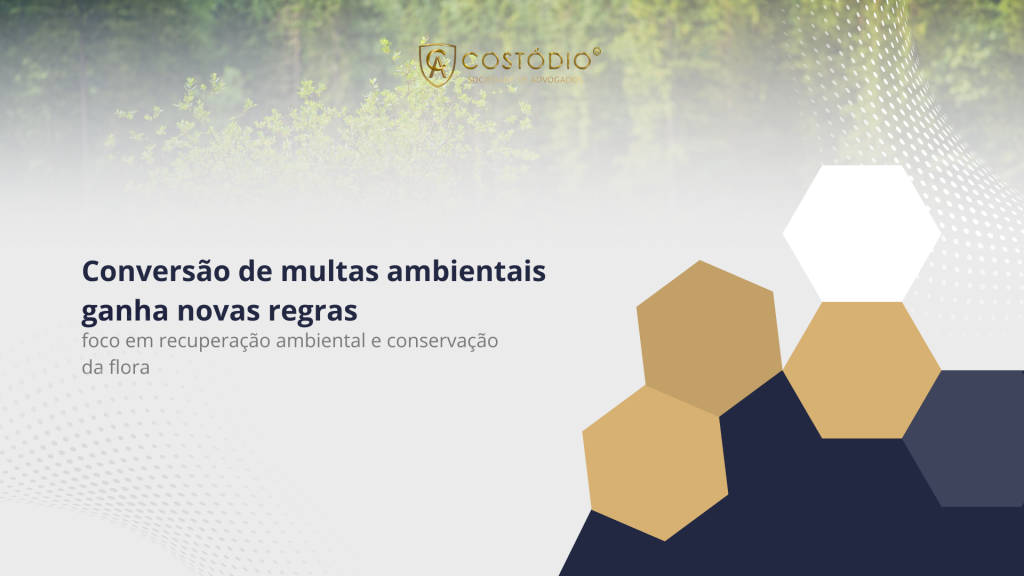 IBAMA lança novo programa para conversão de multas ambientais com foco em preservação e recuperação ecológica